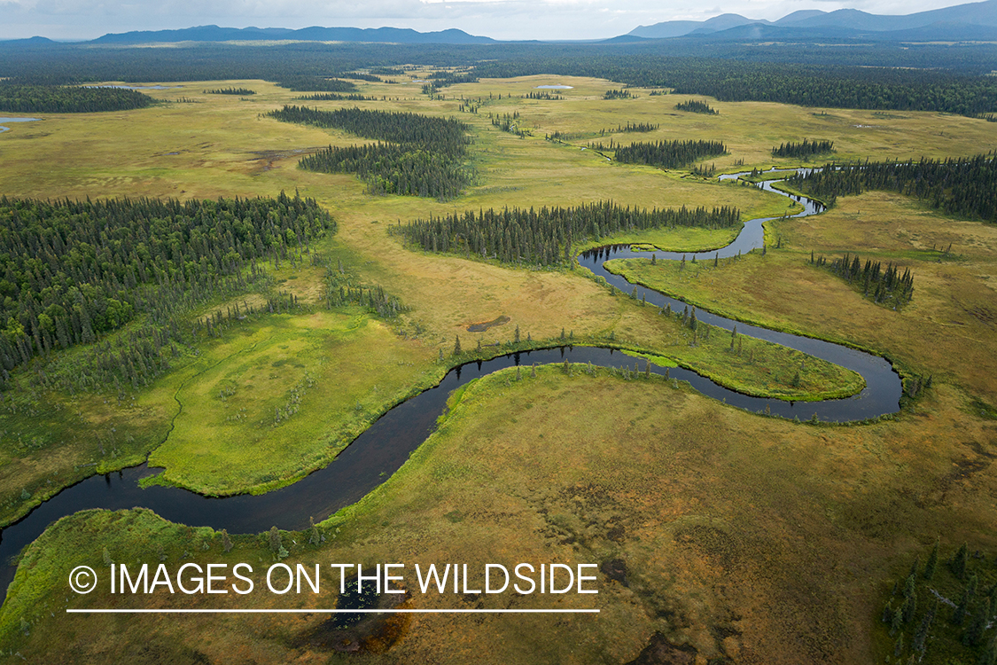 Aerial view of Nushagak river, Alaska.