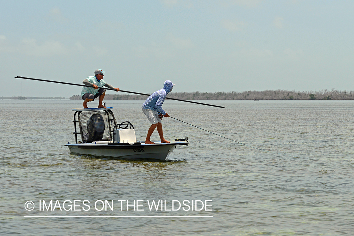 Flyfisherman casting to bonefish.