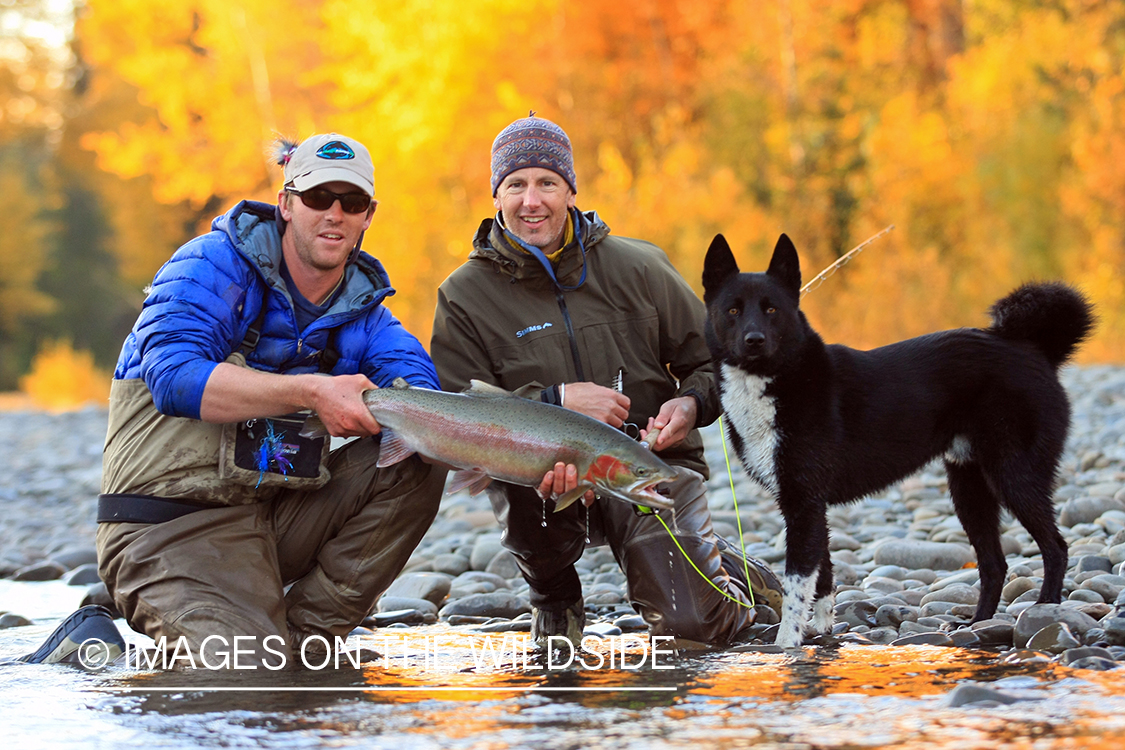 Flyfishermen with Steelhead. 