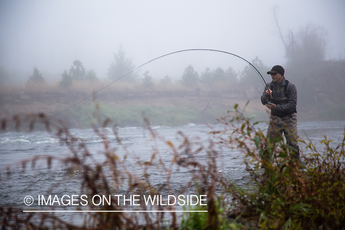 Steelhead fishing