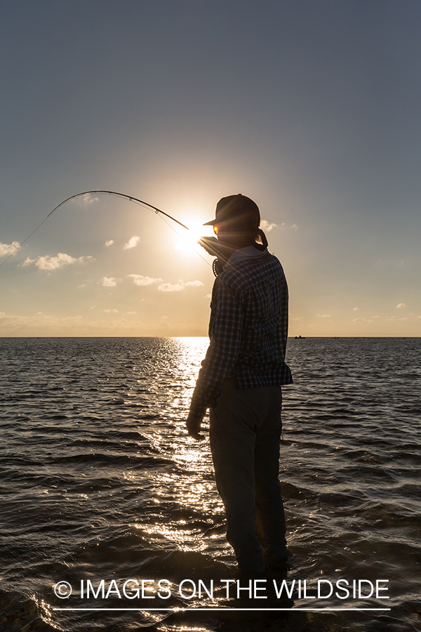 Flyfisherman fighting bonefish.