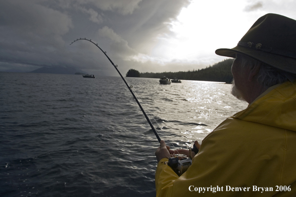 Fishermen fishing for salmon and halibut off fishing boat.  (Alaska/Canada)