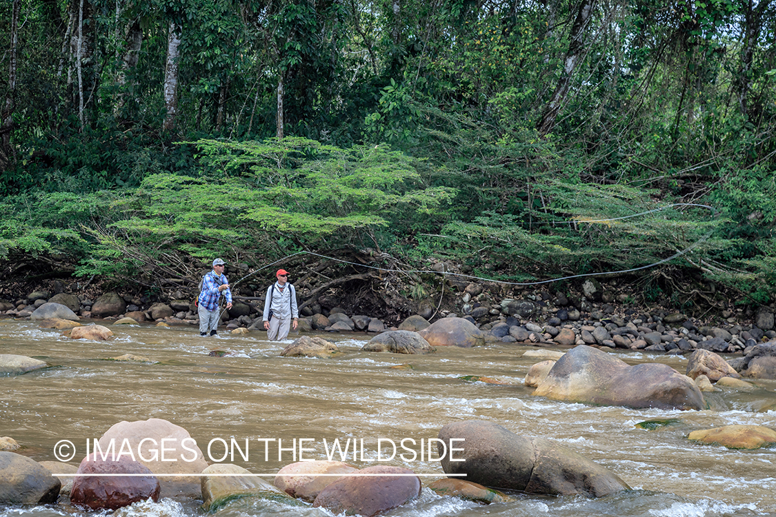 Flyfishing for Golden Dorado in Bolivia.