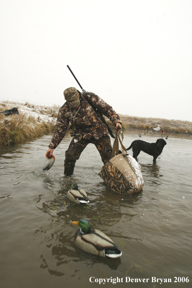 Duck hunter setting decoys in winter