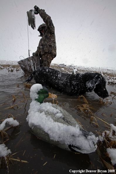 Waterfowl hunters with duck decoys.