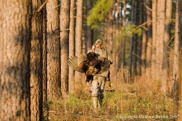 Turkey hunter in field with bagged bird