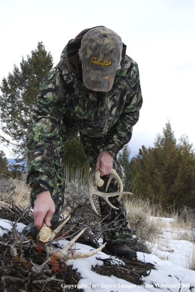 Bowhunter shed hunting