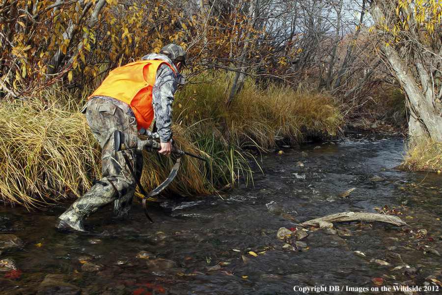 Hunter tracking moose.