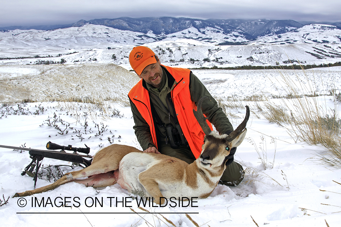 Big game hunter with bagged pronghorn antelope. 