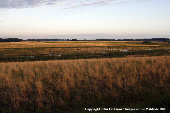 Wetlands on National Wildlife Refuge