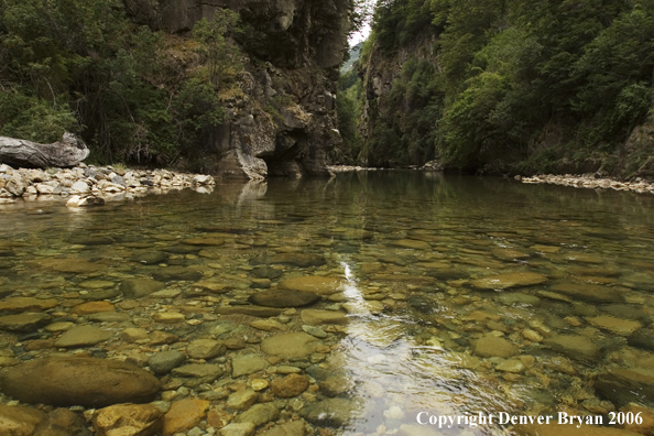 River scene.