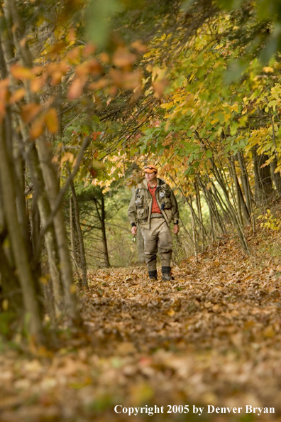 Flyfisherman walking through woods on way to river.