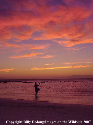 Flyfisherman fishes while sun sets                          