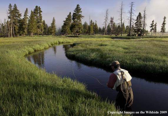 Flyfisherman on stream