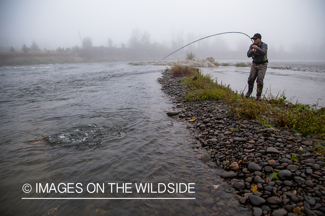 Steelhead fishing