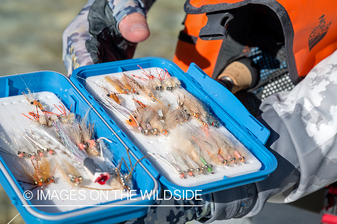 Flyfisherman choosing flies.