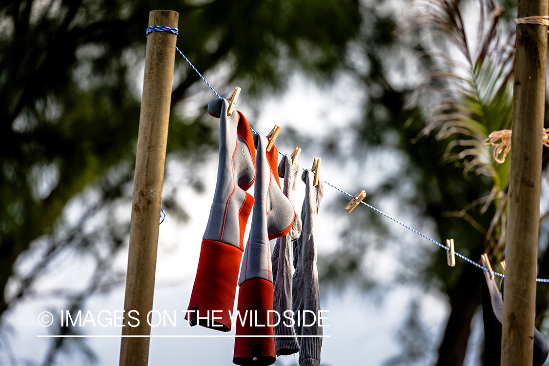 Wader socks hanging at St. Brandon's Atoll flats, Indian Ocean.