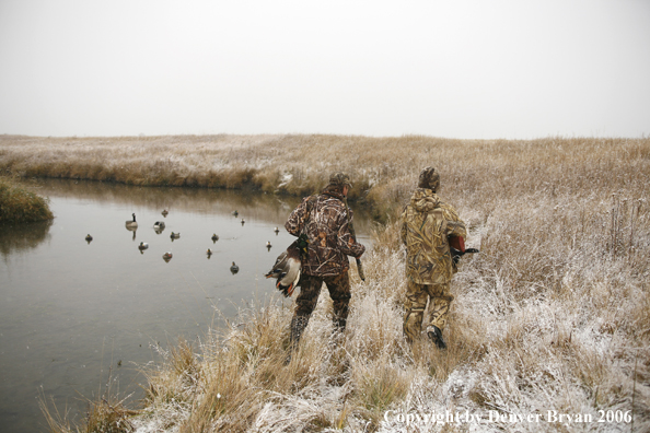 Duck hunting in winter