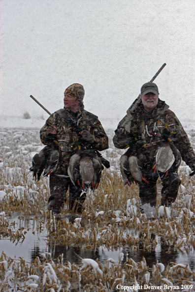 Waterfowl hunters with killed mallard ducks.