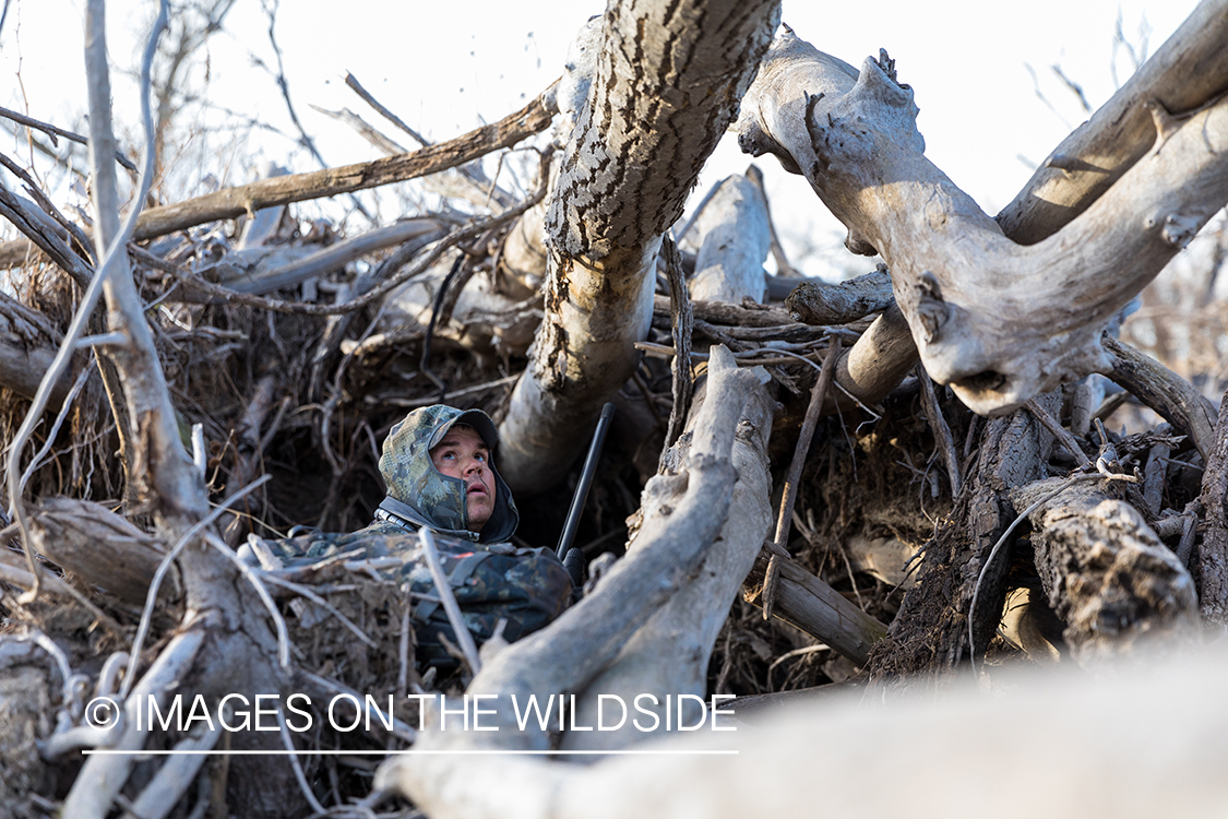 Waterfowl hunting