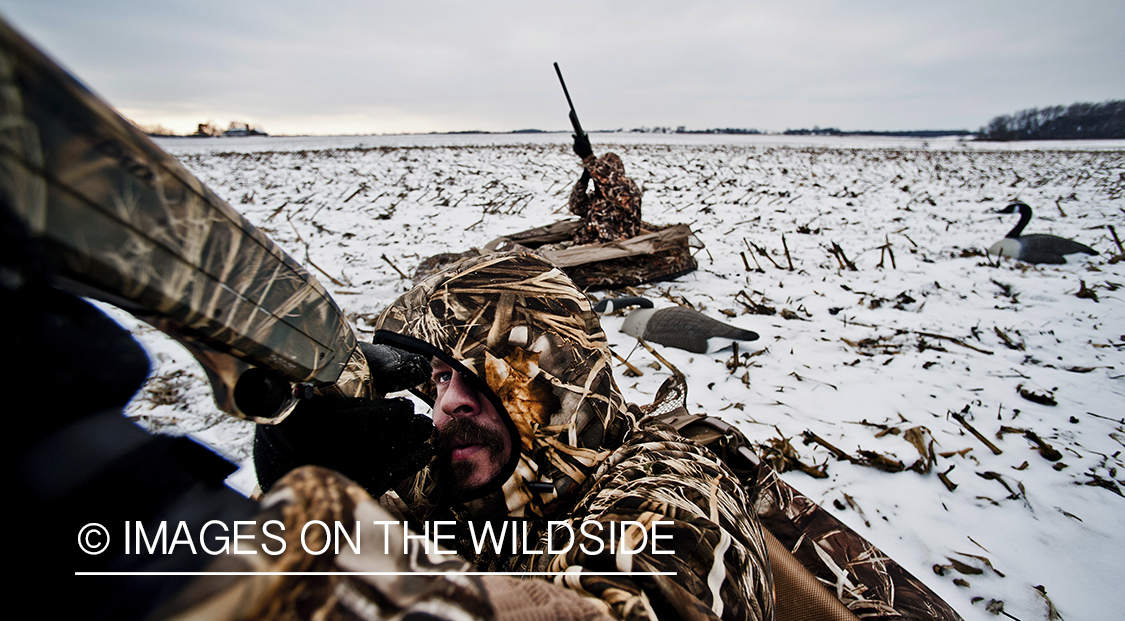 Waterfowl hunters taking aim in ground blinds.