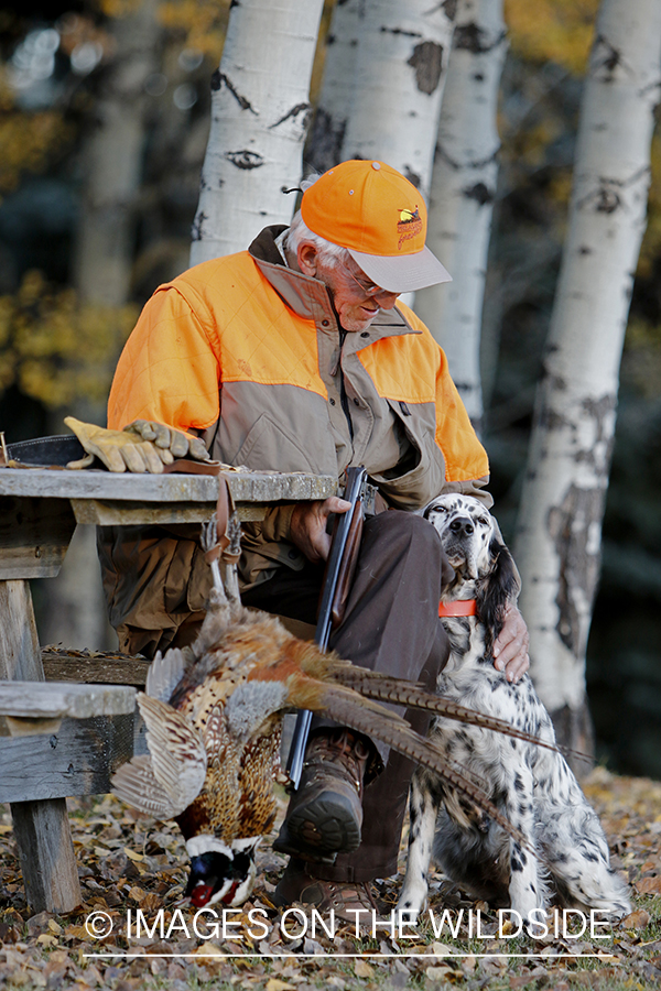 Hunter with English Setter in autumn.