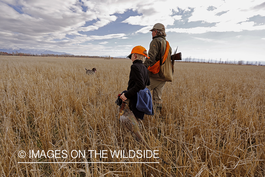 Father and son pheasant hunting. 