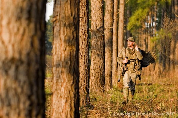 Turkey hunter in field with bagged bird