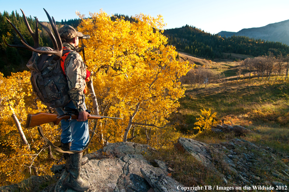 Big game hunter packing out mule deer. 