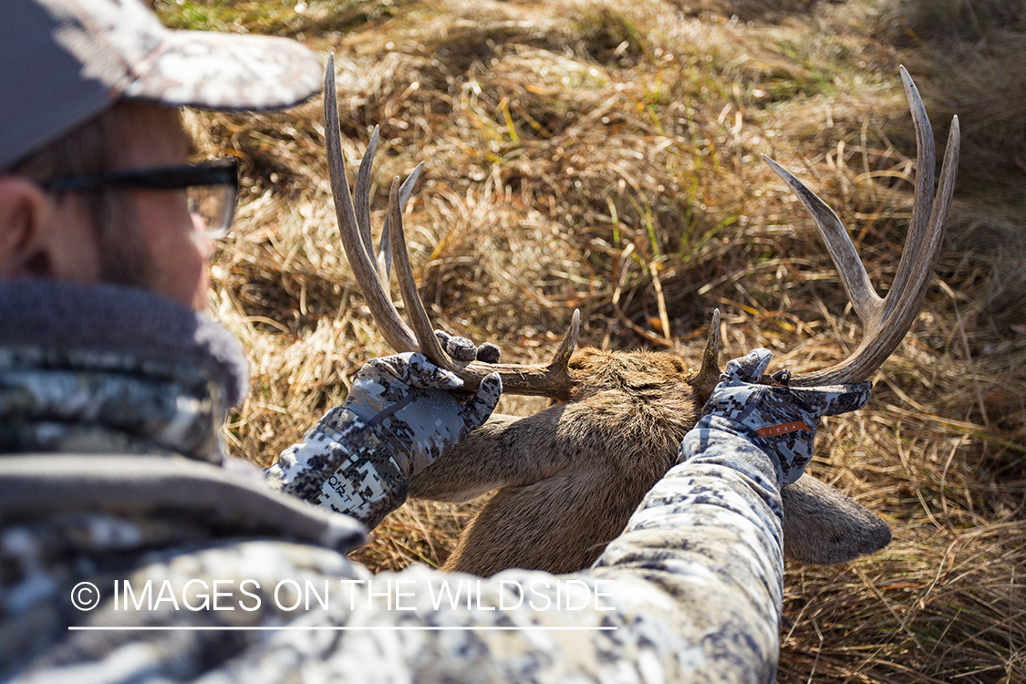 Bowhunter with bagged white-tailed buck. 