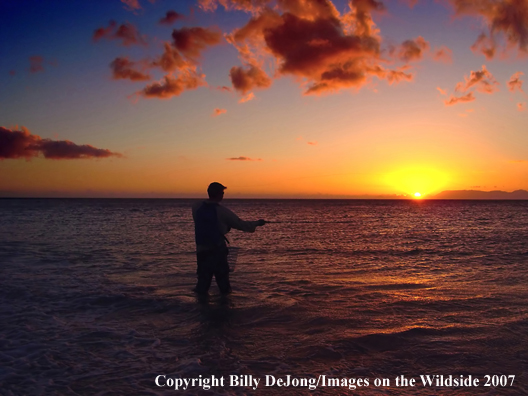 Flyfisherman fishes while the sun sets         