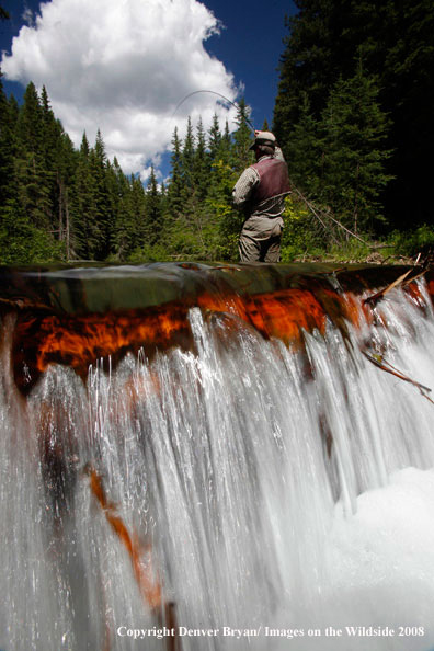 Flyfisherman standing above waterfall fishing