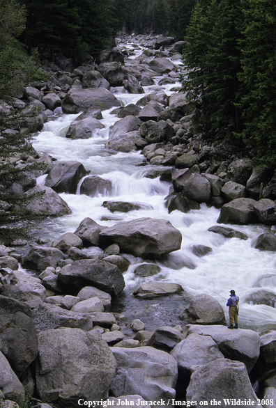 Flyfishing on Lamar River Canyon