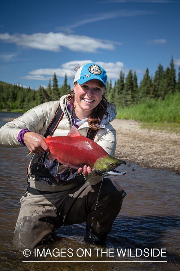 Flyfisherman with sockeye (red) salmon.