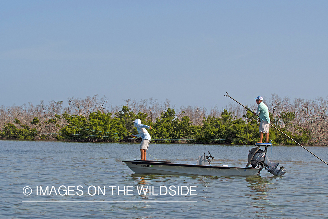 Flyfisherman casting to bonefish.