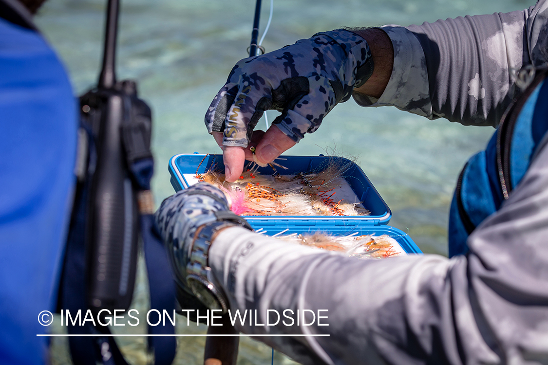 Flyfisherman choosing flies.