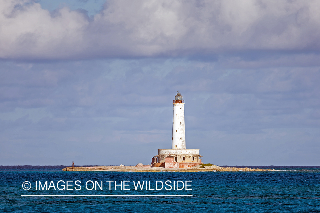 Lighthouse off the coast.