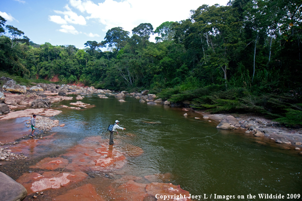 Flyfisherman in Bolivia fishing for Golden Dorado