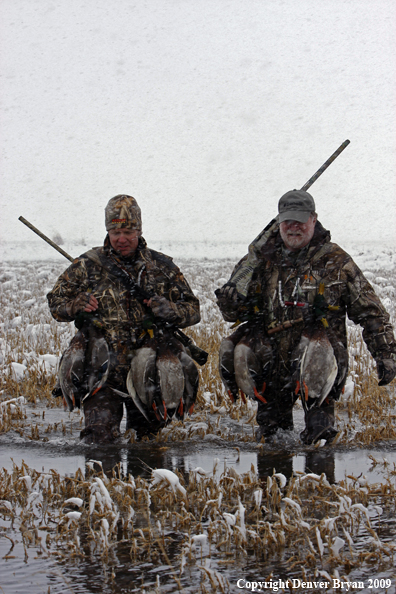 Waterfowl hunters with killed mallard ducks.