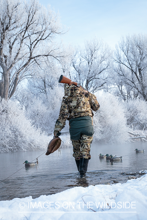 Hunter with duck decoys.