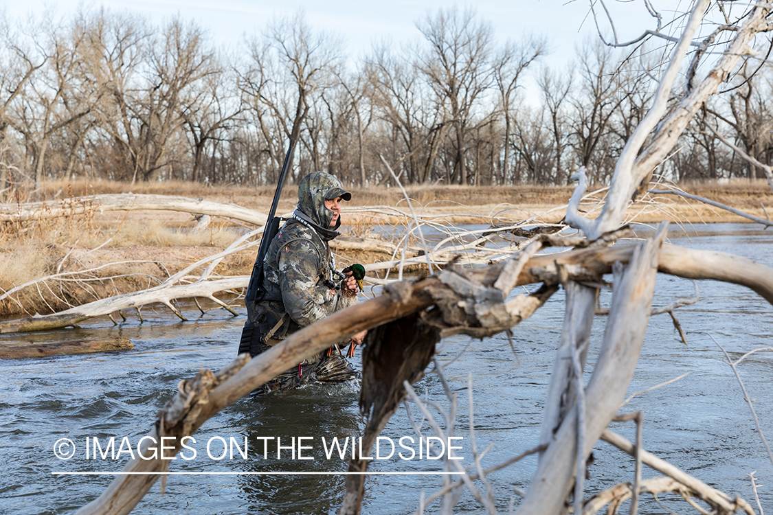 Waterfowl hunting