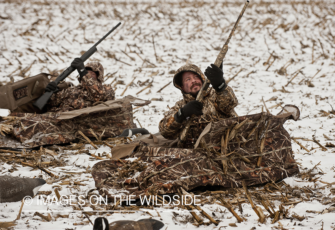 Waterfowl hunters taking aim in ground blinds.