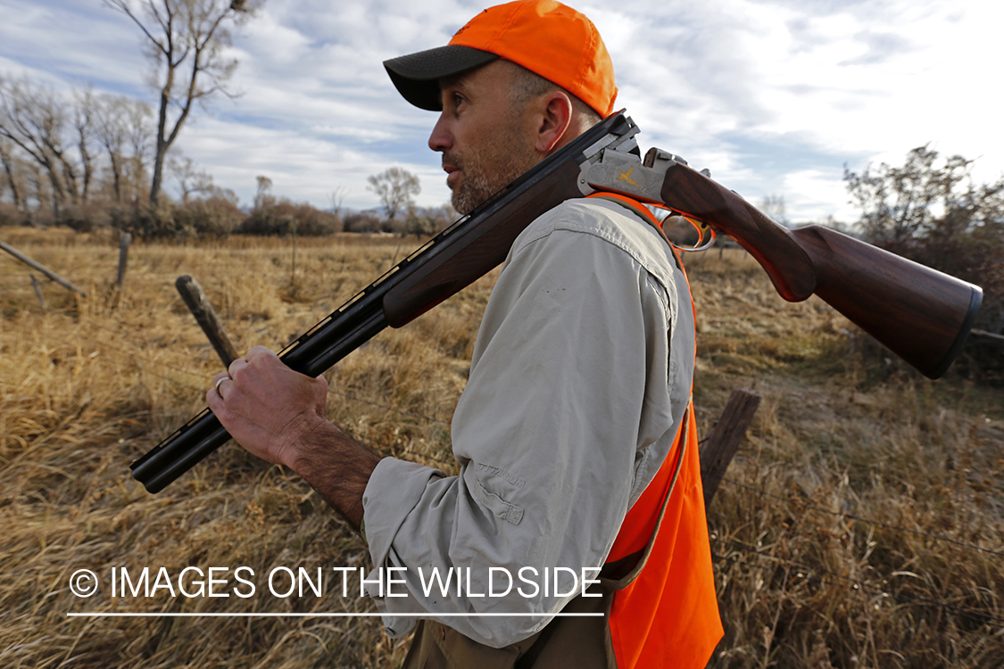 Upland game bird hunter in field.