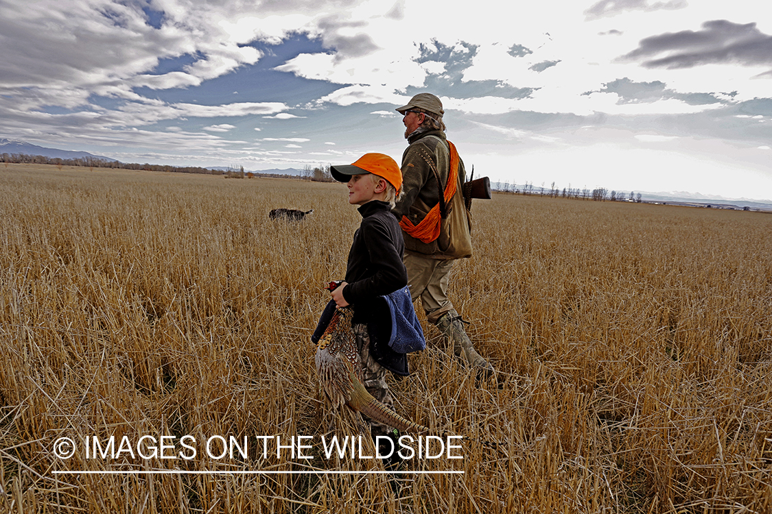 Father and son pheasant hunting. 