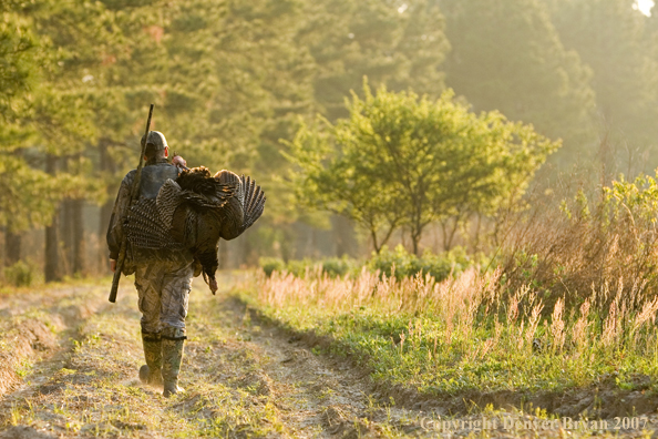 Turkey hunter in field with bagged bird