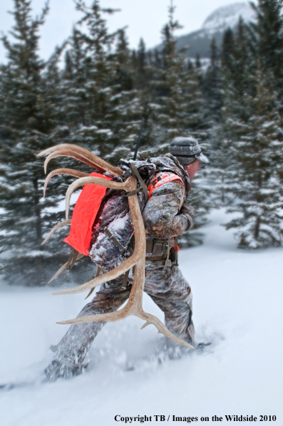 Hunter with elk rack (Original image # 11025-018.84D)