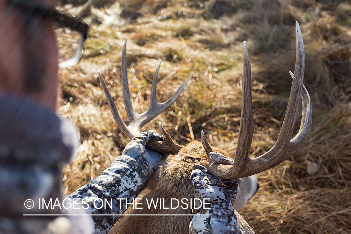 Bowhunter with bagged white-tailed buck. 