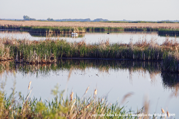 Wetlands on National Wildlife Refuge