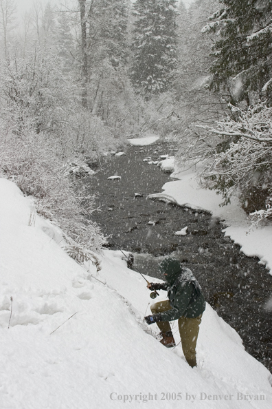 Flyfisherman climbing up snowy bank.  