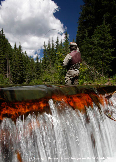 Flyfisherman standing above waterfall fishing